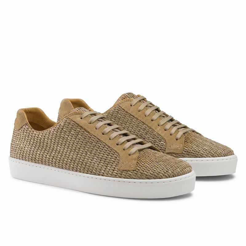 Trampki Niska Russell And Bromley Park Run Męskie Brązowe | PTP9574KJ