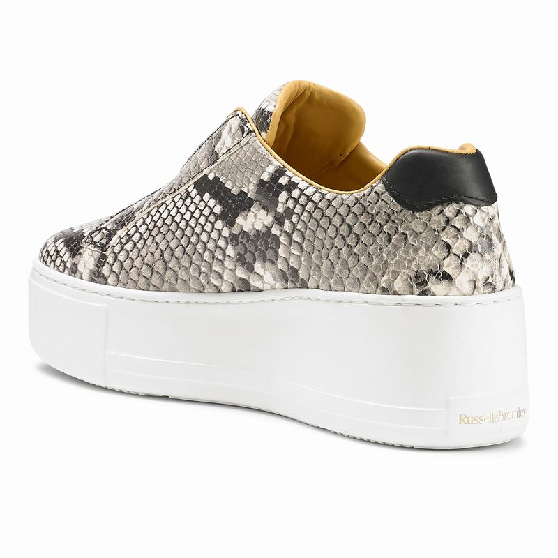 Trampki na Platformie Russell And Bromley Park Up Damskie Kolorowe | CTU368FQ